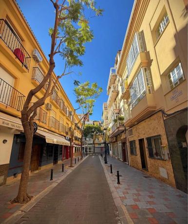 Estudio en calle Santísima Trinidad