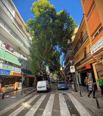 Estudio en calle Santísima Trinidad
