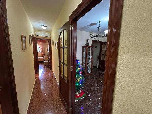 Piso en Centro Ciudad