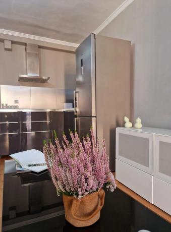 Estudio en Zona Sohail