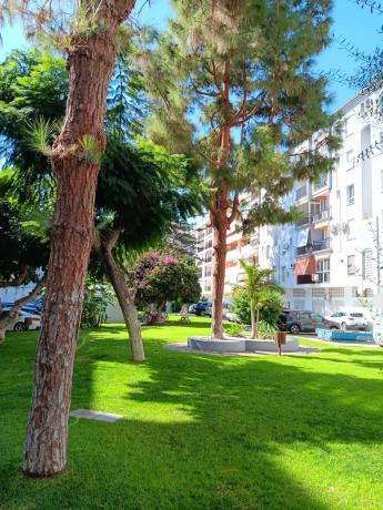 Piso en avenida Ramón y Cajal