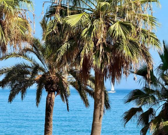 Piso en paseo Marítimo Rey de España, 11