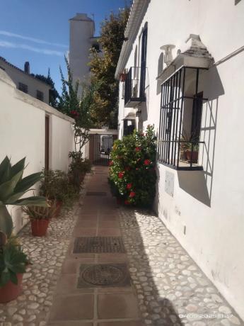 Chalet adosado en calle Geraneos