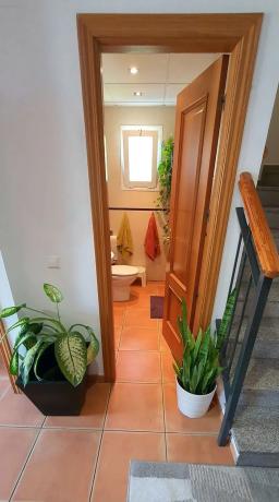 Chalet pareado en calle Eugenia de Montijo