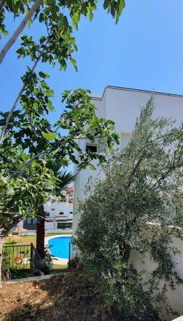 Chalet pareado en calle Eugenia de Montijo