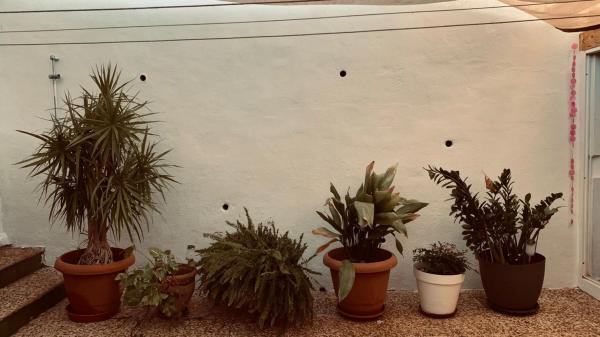 Casa independiente en avenida los Pacos, 65