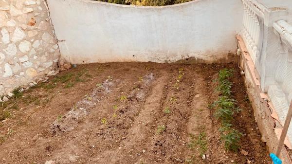 Casa independiente en avenida los Pacos, 65