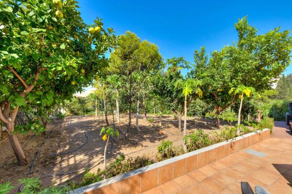 Chalet adosado en calle Tucán