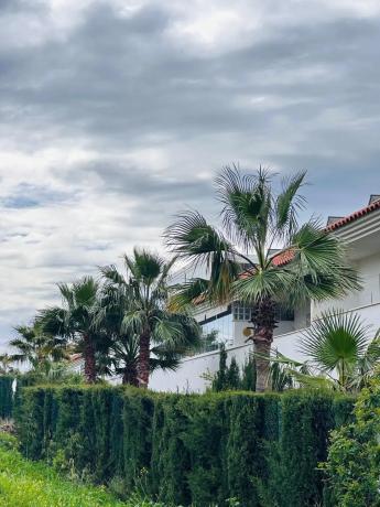 Piso en camino de Corralejos