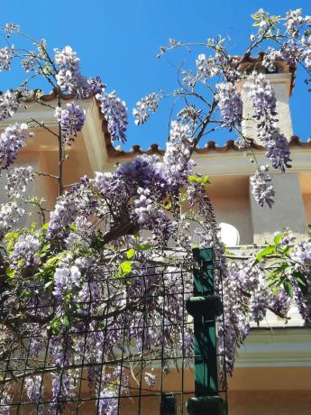 Chalet en Zona Sohail