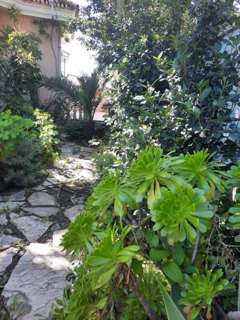 Chalet en Zona Sohail