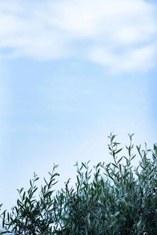 Ático en avenida Fuengirola, 9