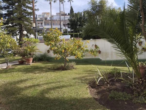 Piso en calle Orquídea