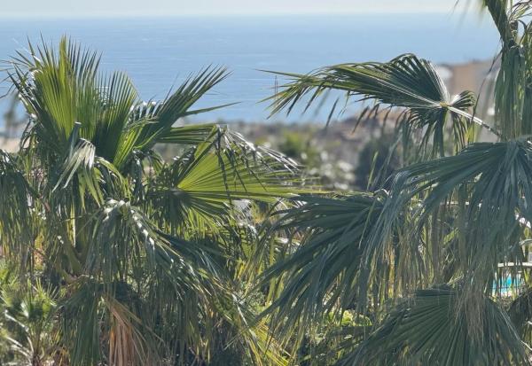 Casa independiente en avenida Avenue 8 de Marzo