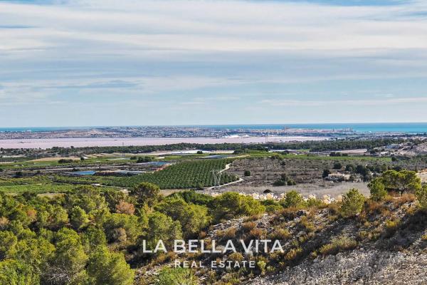 en San Miguel de Salinas