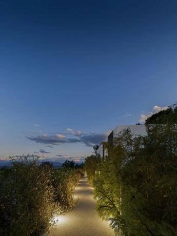 Orquideas Mediterranean House