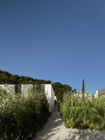 Orquideas Mediterranean House