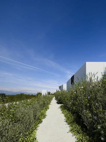 Orquideas Mediterranean House