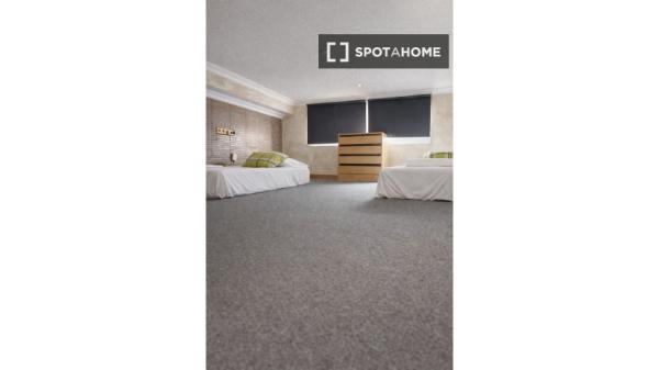 Do wynajęcia 2-pokojowe mieszkanie w Alicante