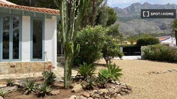 Do wynajęcia 2-pokojowe mieszkanie w Altei