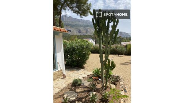 Do wynajęcia 2-pokojowe mieszkanie w Altei