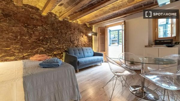 Estudio en alquiler en El Raval, Barcelona