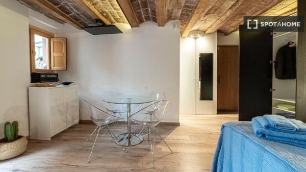 Estudio en alquiler en El Raval, Barcelona