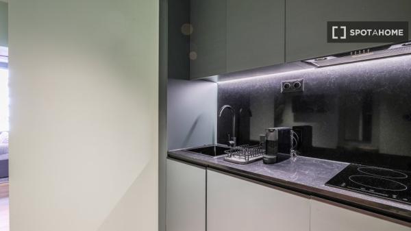 Estudio en alquiler en Embajadores, Madrid