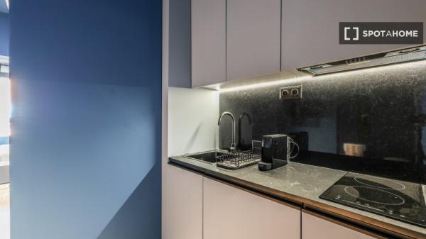 Studio à louer à Embajadores, Madrid