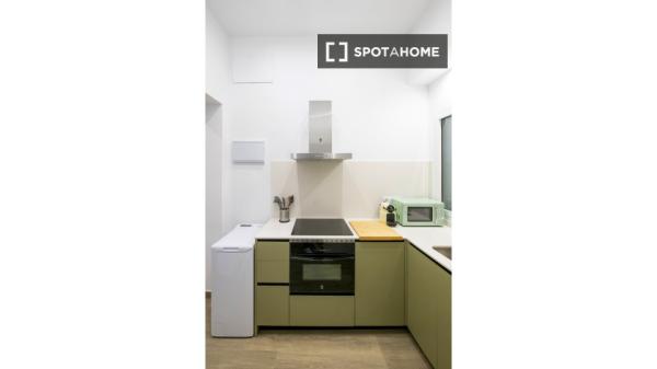 Estudio en alquiler en Gaztambide, Madrid.