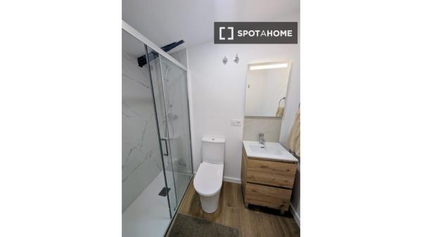 Estudio en alquiler en Burjassot, Valencia