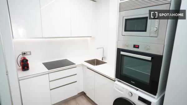 Studio zu vermieten in Sol, Madrid