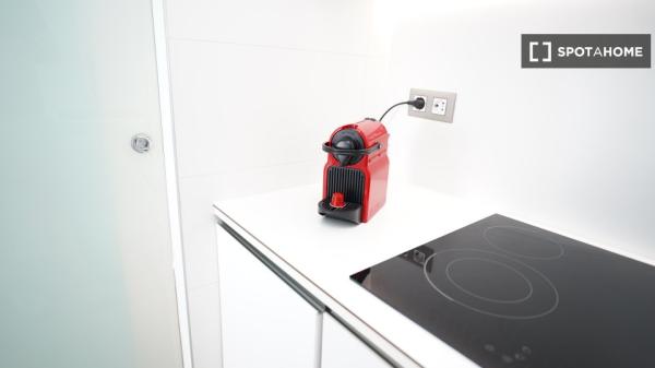 Studio zu vermieten in Sol, Madrid