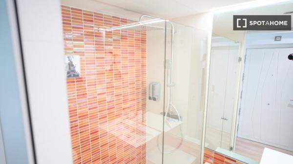 Studio zu vermieten in Sol, Madrid