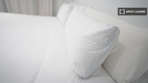 Studio zu vermieten in Sol, Madrid