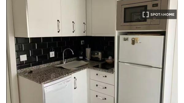 Studio zu vermieten in Prosperidad, Madrid