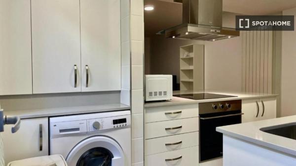 Studio zu vermieten in Vigo, Pontevedra