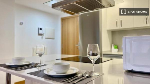 Studio zu vermieten in Vigo, Pontevedra