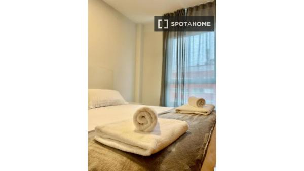 Studio zu vermieten in Vigo, Pontevedra