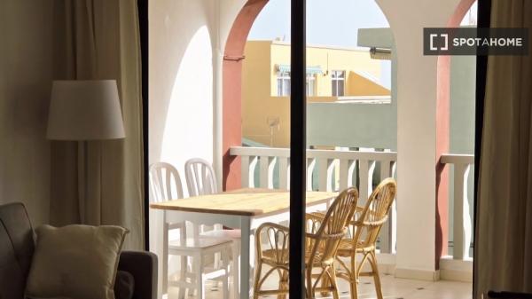 Studio à louer à Los Llanos de Aridane