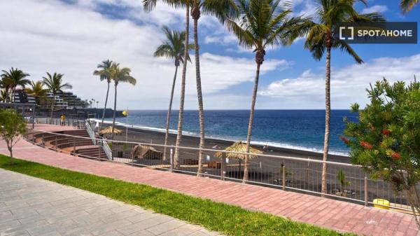Studio à louer à Los Llanos de Aridane