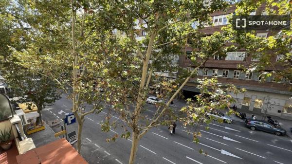 Room in shared flat for rent in Ríos Rosas, Madrid